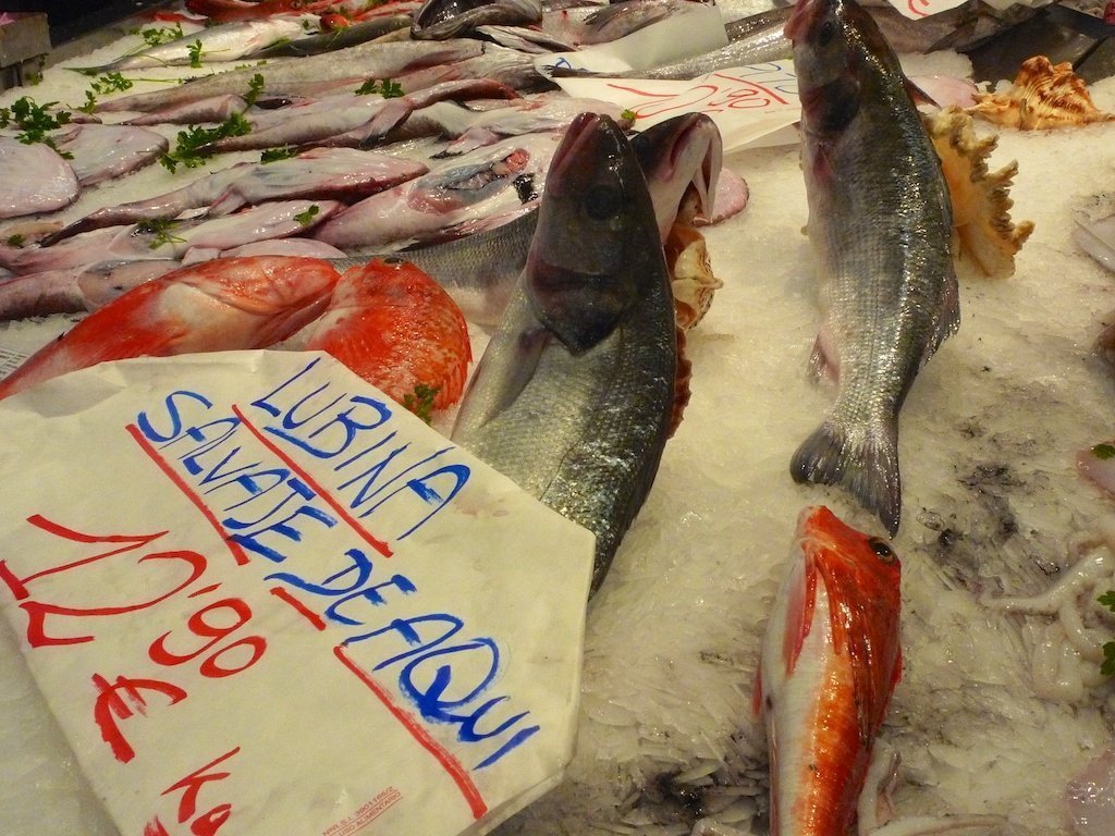 San Sebastian market_wild seabass