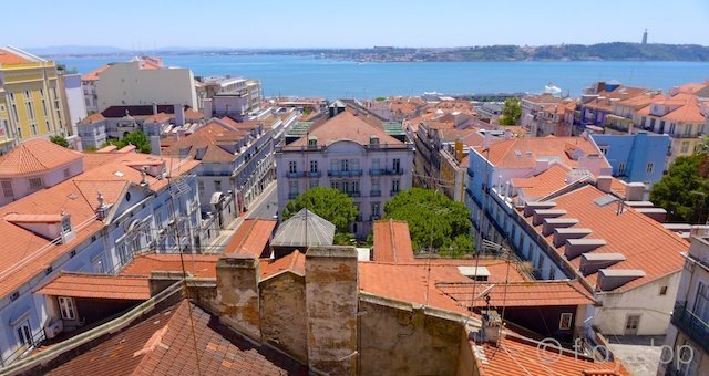 ﻿Lisbon rooftops